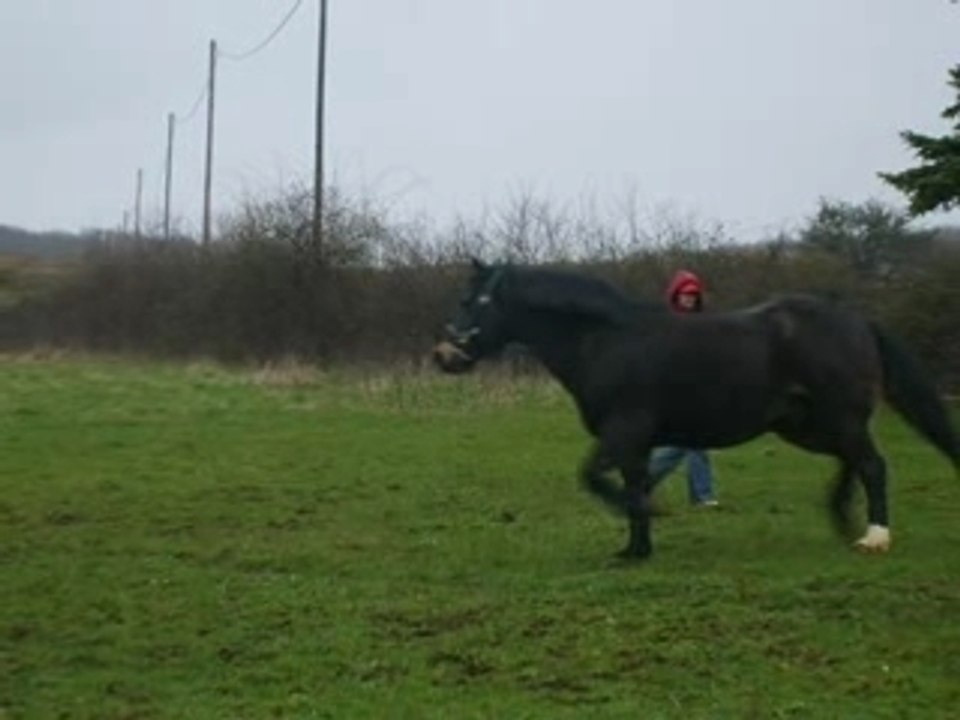 César en longe