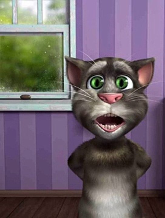 malang proposal of talking cat