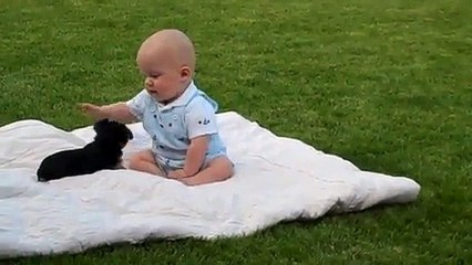 Adorable Puppy Attacks Baby