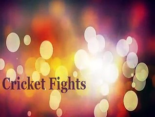 Unforgettable Fight Of Gambhir and Virat Kohli