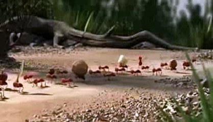 Very Funny Cartoons 9