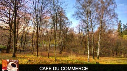 Café du commerce - dimanche 22 février 2015