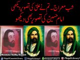 Ab Hussain a.s Ki Tasweer Bhi Dekho ! Maulana Sadiq Hassan