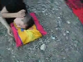 Elite Status Benefits & Perks ✨