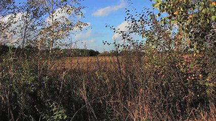 Timelapse/Zeitraffer - Pinneberg Nord Autobahn 2014 01 /Full Film/Complete Movie/Ganzer Film