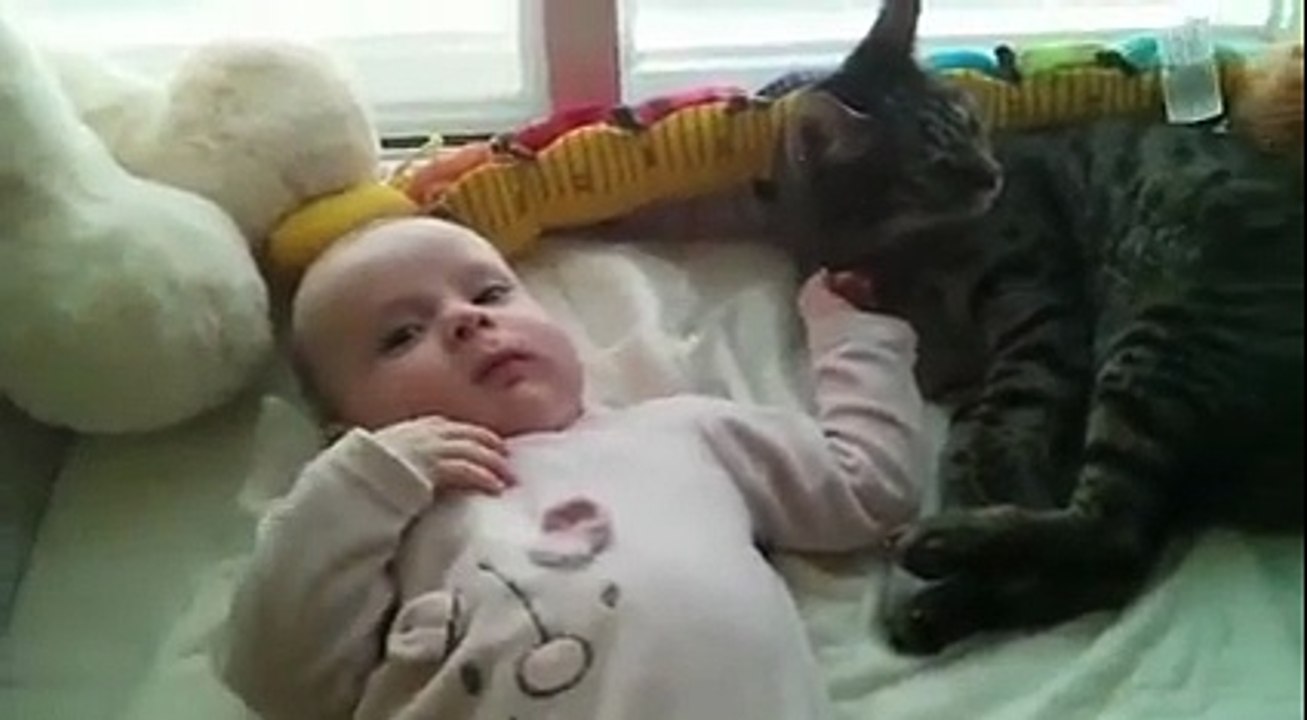 play between a baby and cat