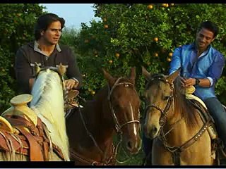 Coração Indomavel 15