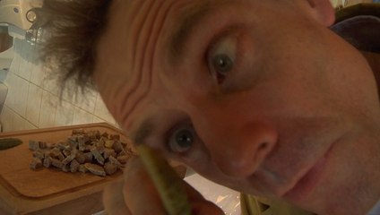 Animateur Gaulthier de Crépy: la TERRINE de BISON. gaulthierchante@gmail.com