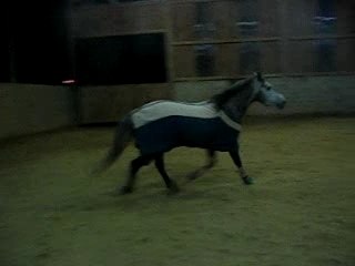 Photo 037