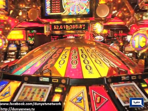 Dunya News - PCB seeks clarification from Moin Khan on visiting casino