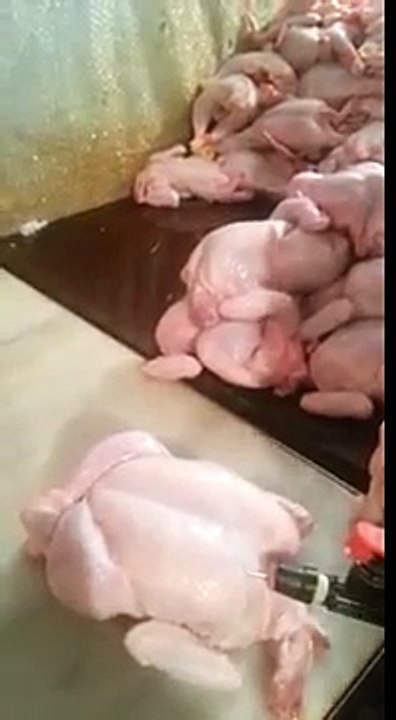Preparing chickens for sale