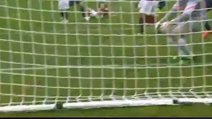 Bosko Janković Goal Verona 1 - 1 AS Roma 2015