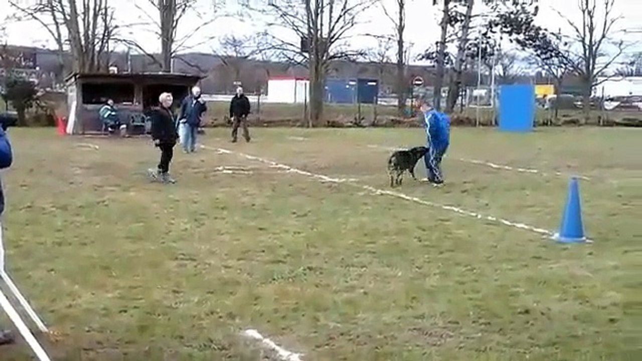 IAKOUTE ENTRE CHEZ LES MOYENS