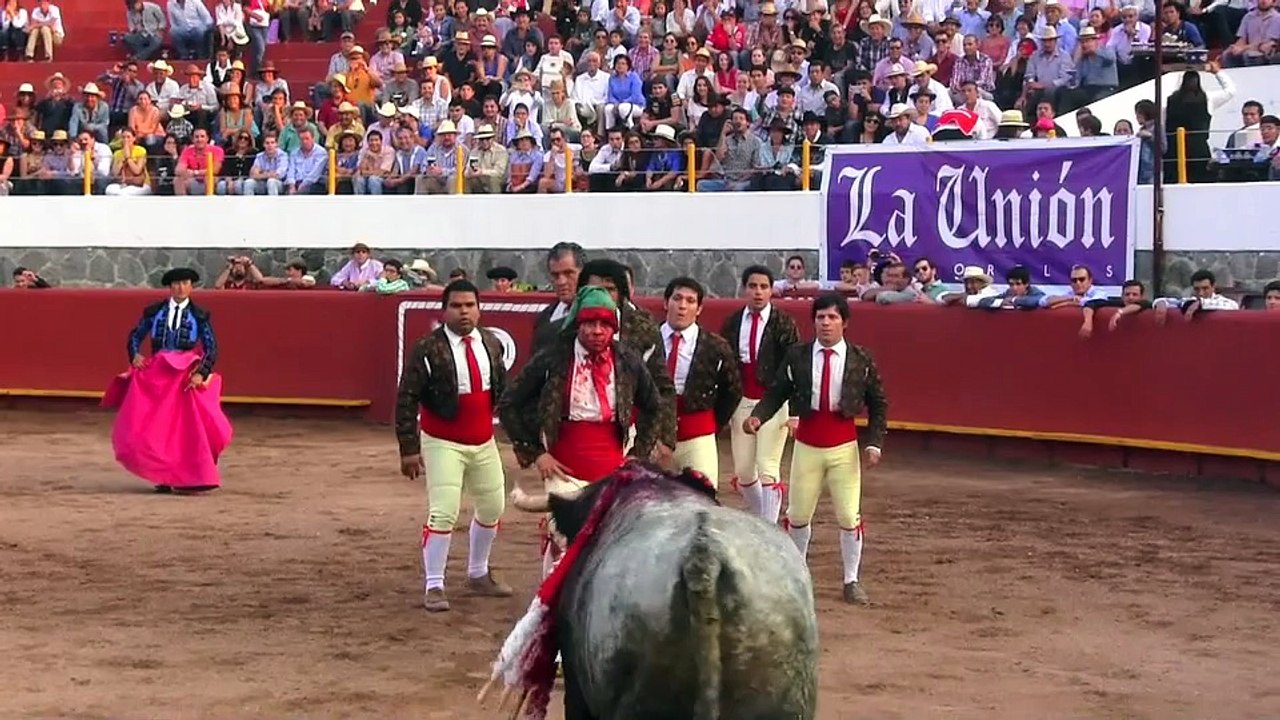 Morelos 21 feb 2015