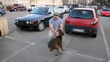 Dog is happy that his owner is back from ...