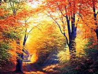 Terry Winter Summer Holiday Tradução