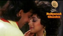 Naiyo Jeena Tere Bina - Mohammad Aziz & Sadhana Sargam - Madhuri Dixit Songs