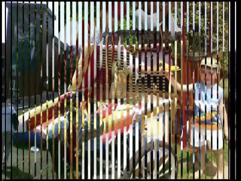 ANKARADA PİKNİK ETKİNLİĞİ