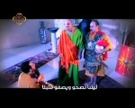 قصيدة  تائه في غربة .. مثلث الطوبى البابا شنودة