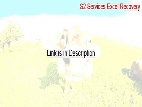 S2 Services Excel Recovery Key Gen - Instant Download
