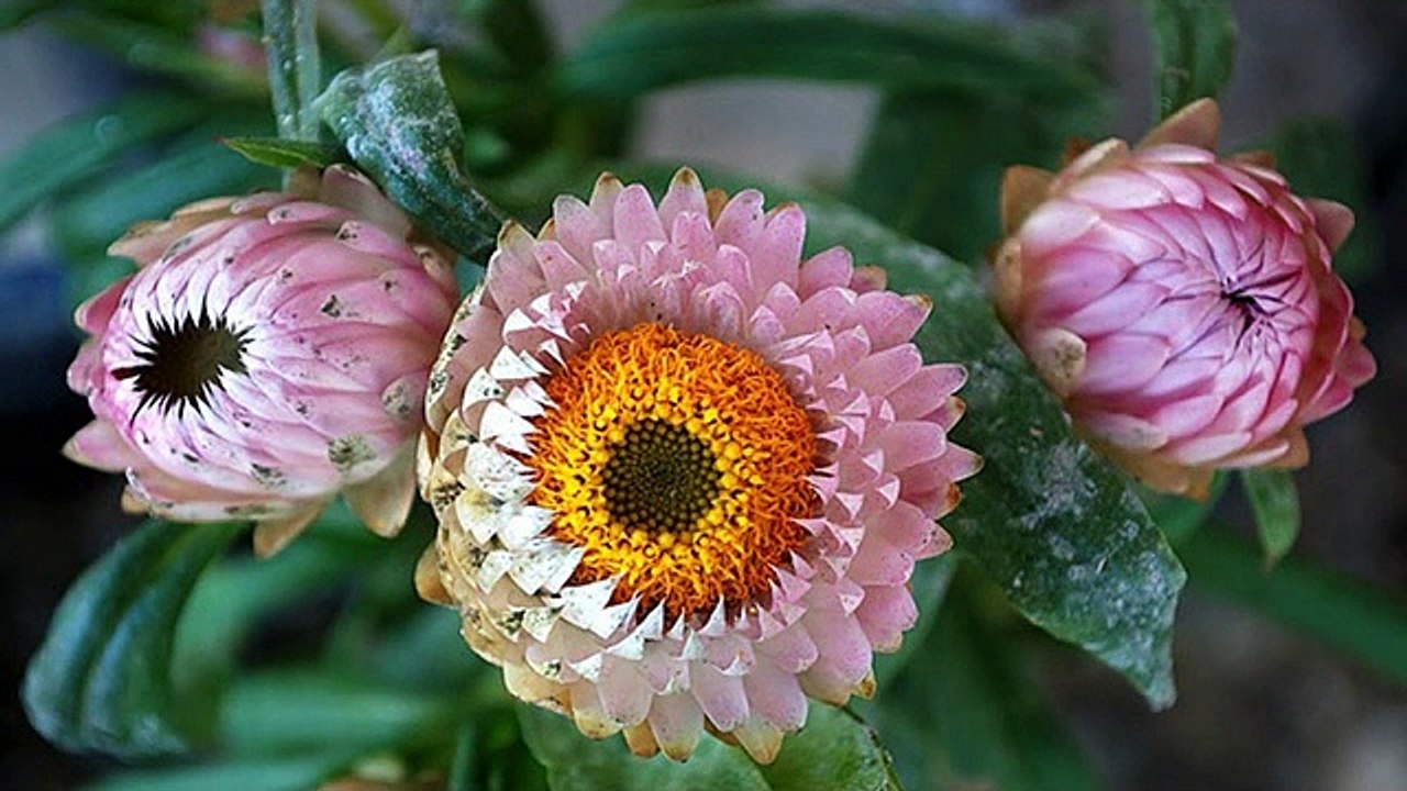 La nature   photos diverses