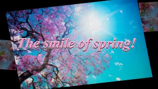 The smile of spring! ... ... (music Victor Huynh) ... ...