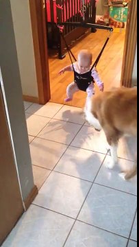 Первые шаги