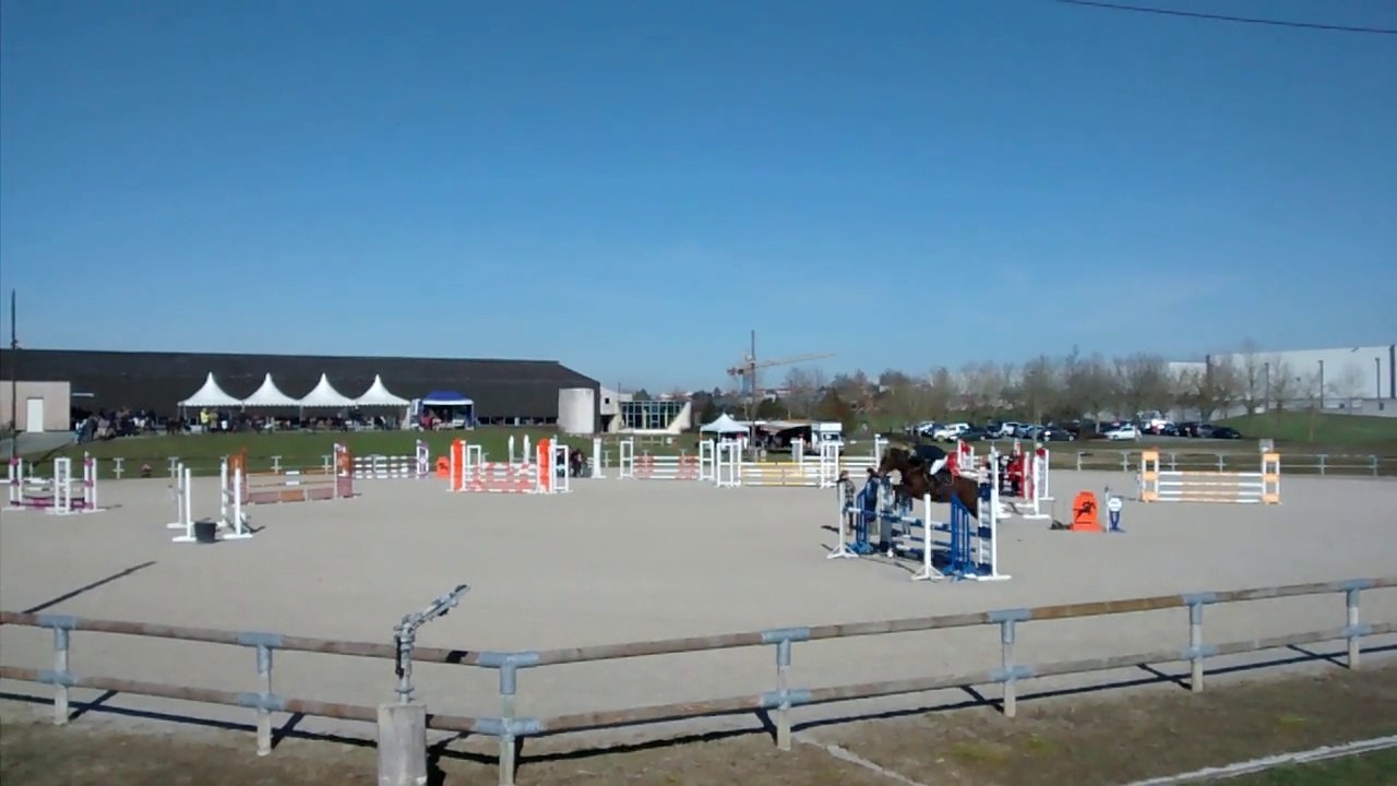 Blacky - CSO Niort - Club Elite - SF