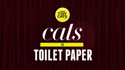Cats vs. Toilet Paper #CatsWin