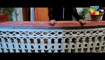 Nikah Episode 8 Full HUM TV Drama 22 Feb 2015