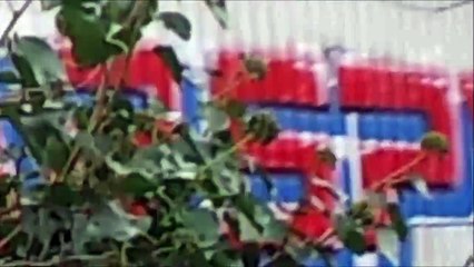 Pinneberg Januar 2015 - Nach dem Sturm 01 /Full Film/Complete Movie/Ganzer Film