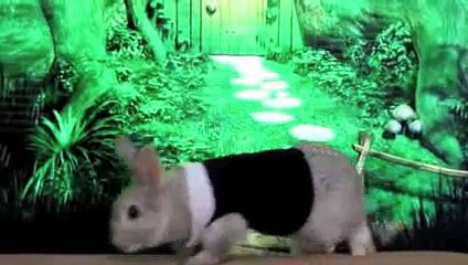 Alice in Wonderland Make-up Tutorial