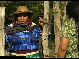 Coração Indomavel 21