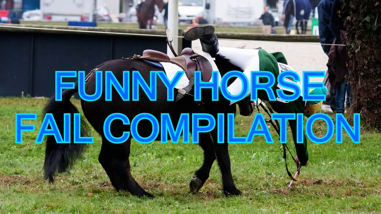 Best and funniest horse fails and videos compilation