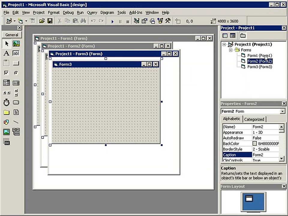 Visual Basic Screen Active Form