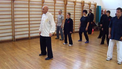 TAIJI QUAN A ROMA: L'APERTURA DELLA FORMA CHEN - M° FLAVIO DANIELE