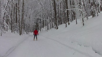 Chute à ski de fond