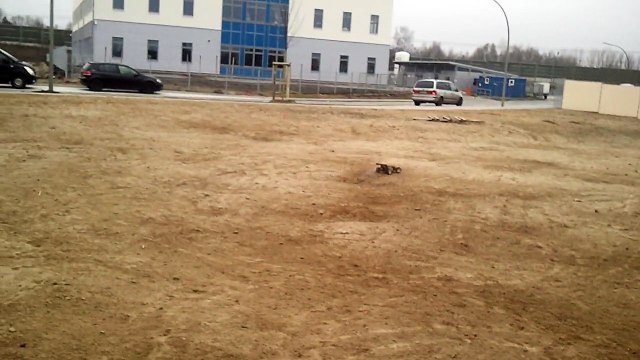 REELY TATANKA 4WD 1:8 NITRO BUGGY