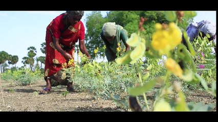 Silent Scream: Understanding nutrition crisis among India’s tribal children