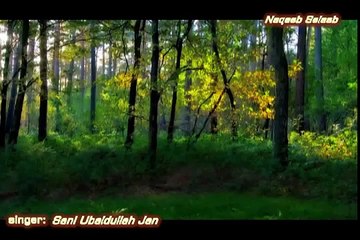 دیره شکلی پشتو سندره -- ثانی عبیدالله