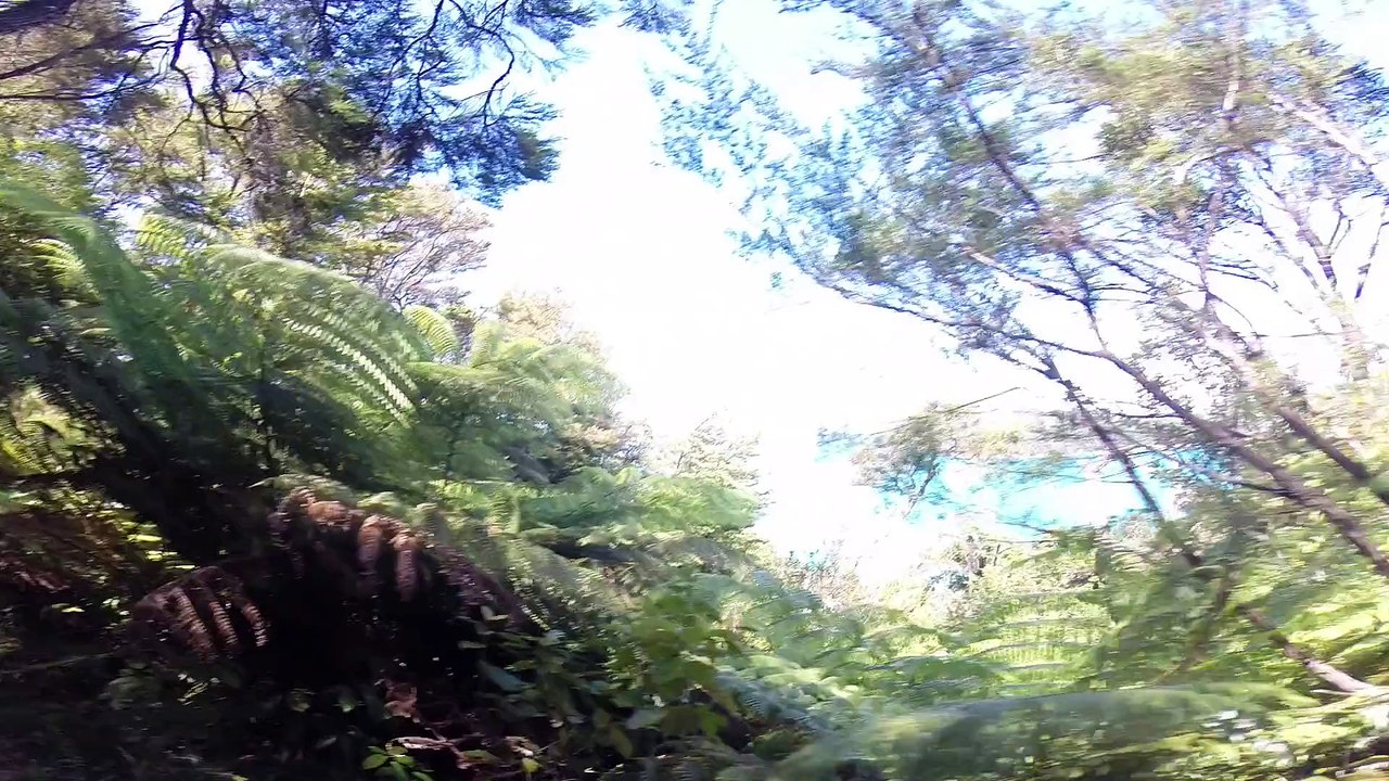 Au bout du Schtroumpf 16 - Nouvelle Zelande