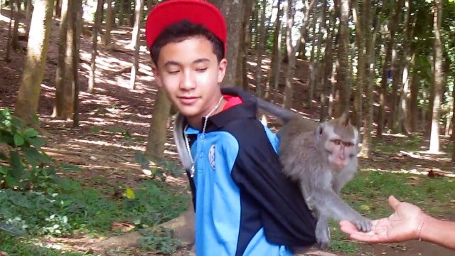 Mathias à Monkey Forest d'Ubud (Bali)