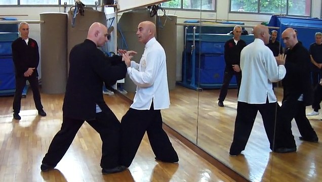 TAIJI QUAN A ROMA: USARE I PRINCIPI INTERNI - M° FLAVIO DANIELE