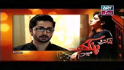 Na Katro Pankh Meray Episode 24 - Last Episode