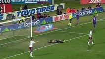 Fiorentina 1 - 1 Torino - Serie A goals and higlights - 22-02-2015