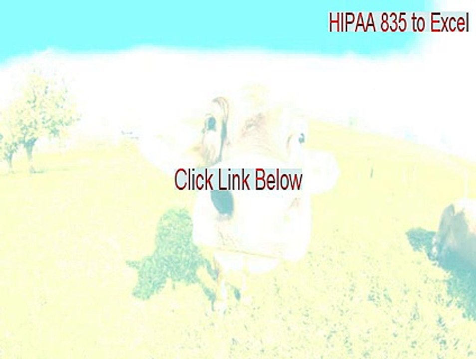 HIPAA 835 to Excel Crack - Legit Download