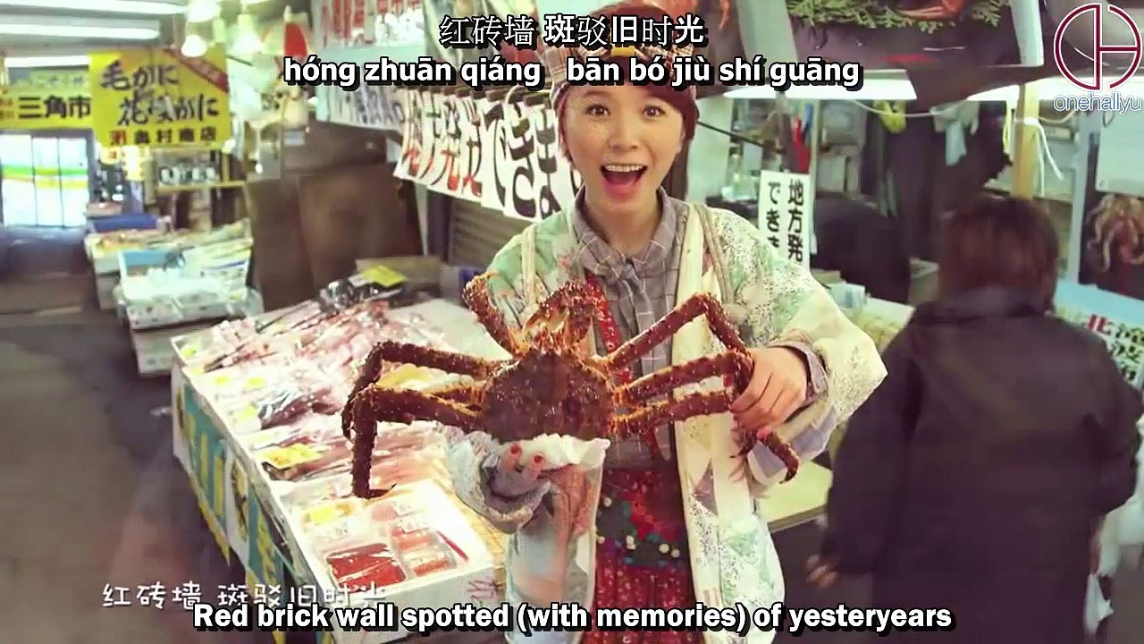 Huang Yali - 田园香 (Fragrance of Countryside) [Eng Sub - Mandarin - Pinyin]