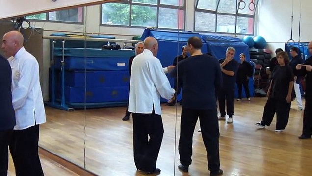 TAIJI QUAN A ROMA: IL M° FLAVIO DANIELE SPIEGA KAO , IL COLPO DI SPALLA