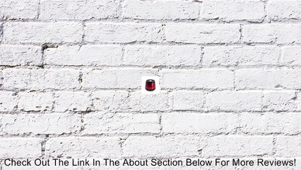 First Nature FN3004 Bird Bath and Waterer Review