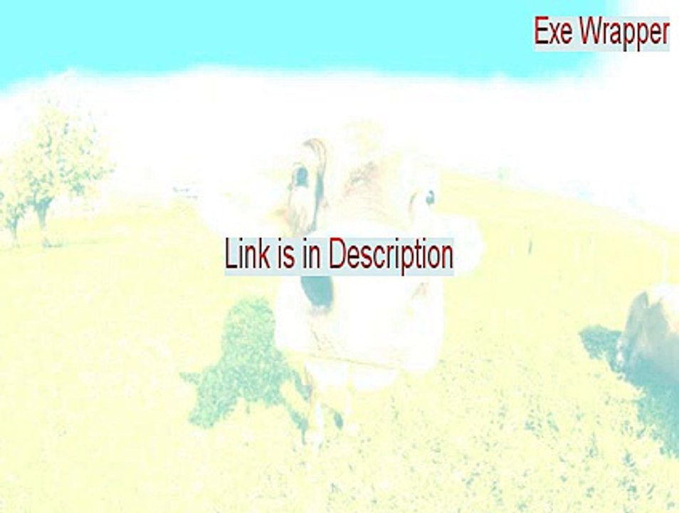 Exe Wrapper Serial [Download Now 2015]